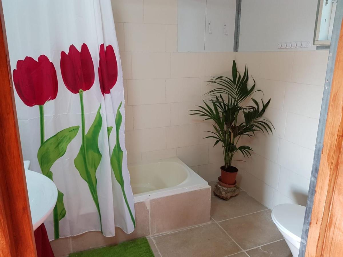 יורט מונגולי Apartment Matzuva Luaran gambar